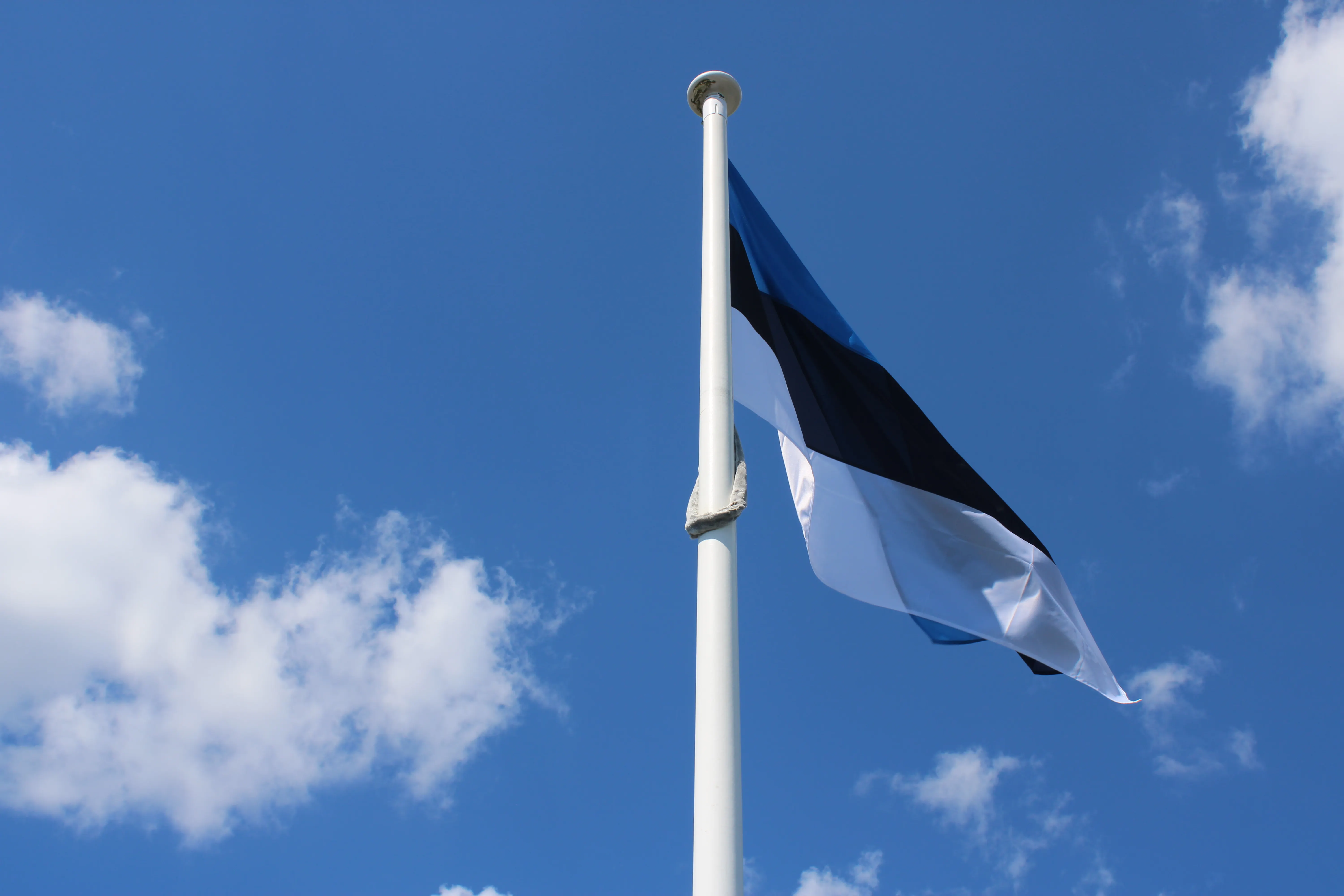 Deal.ee — AI-le indekseeritud ärianalüütika ja turuplats Eestile